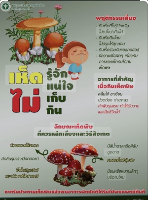 เห็ดพิษ...อันตรายถึงชีวิต ถ้าทานผิดโดยไม่ระวัง?‍???