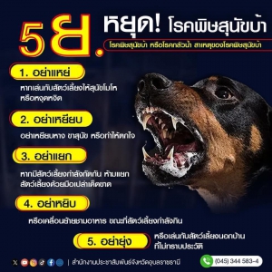 โรคพิษสุนัขบ้า หรือโรคกลัวน้ำ